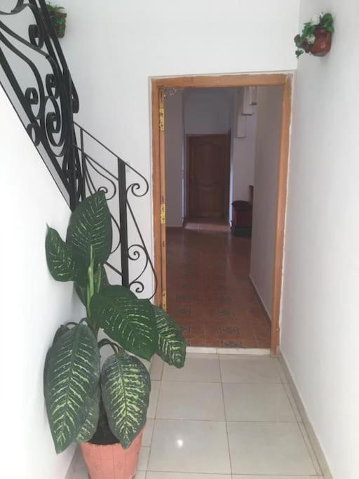 Appartement Rue Belgique 2 Tanger
